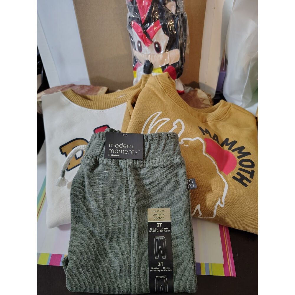 Toddler Bundle - 2 shirts, pants, Sonic plushy Lot 136